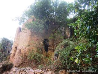 stoleone-31-08-2015 09-07-59